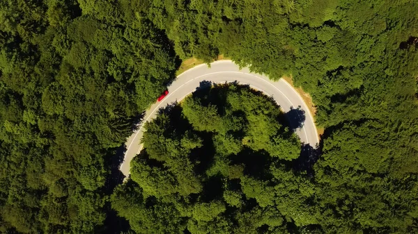 Sabahları ormanın havadan görünüşü