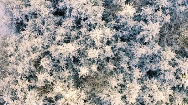 Kar ve buzla soyut arkaplan