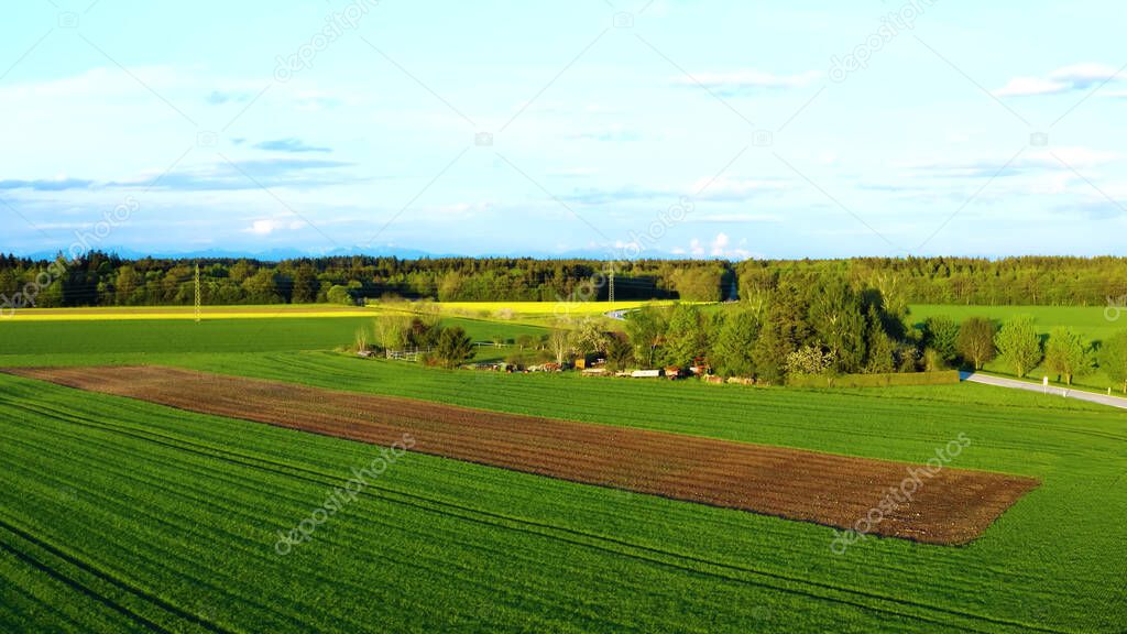 aerial view of the green field of the agricultural fields in the summer.