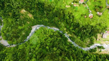 Ormandaki İHA 'nın hava görüntüsü.