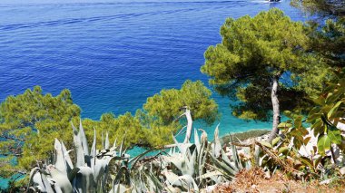 Güzel deniz manzarası