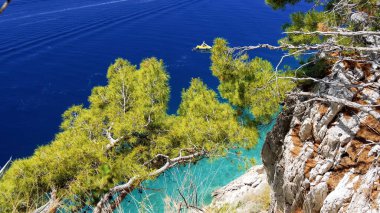 Güzel göl manzarası