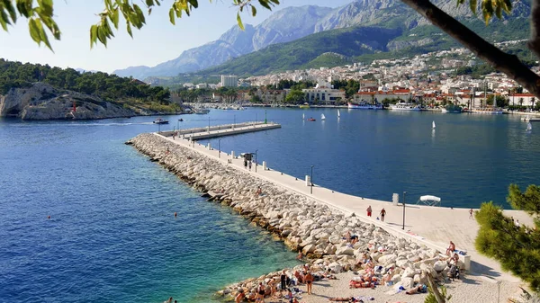 Vista Cidade Kotor Montenburgh — Fotografia de Stock