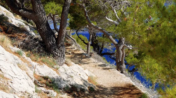 Doğanın güzel manzarası