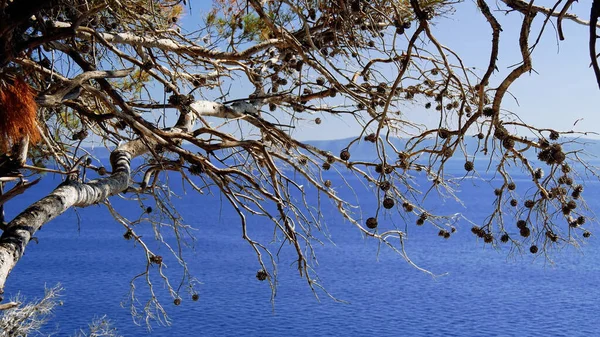 Doğanın güzel manzarası