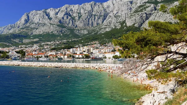 Θέα Της Ακτής Της Θάλασσας Kotor Montenegro — Φωτογραφία Αρχείου