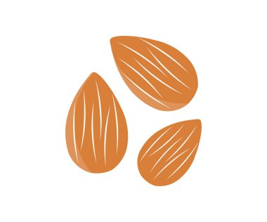 Flying almond isolated on white background  logo design. Organic fresh almond, Nuts   Whole, cut, half, slice almond. Full depth of field vector design and illustration.