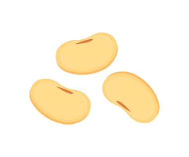 Flat lay of Soybeans  levitate, soya splash nature food logo design. Benefits of Soy, healthy concept vector design and illustration.