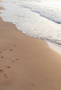 Denizin dalgaları, deniz kıyısı