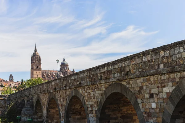 roman bridge of Salamanca, old bridge and cathedral