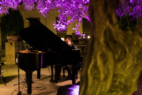 man playing the piano outdoors, purple illuminated tree in the foreground