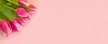 Pankart, pembe arka planda laleler olan kartpostal. Metin ve maket için yer