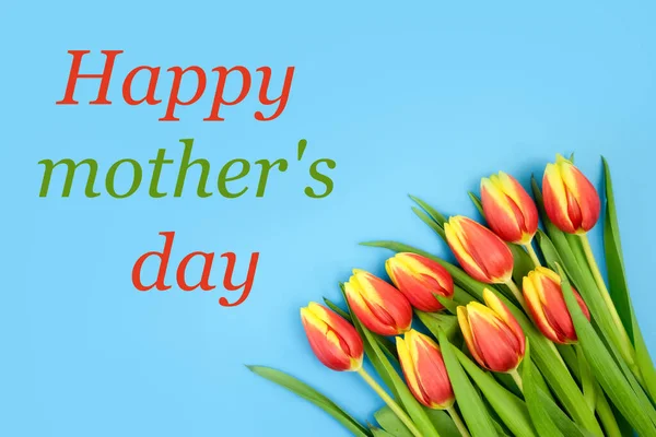 Laleler kırmızı-sarıdır, mavi arkaplanda ve Mutlu Anneler Günü kırmızı-yeşildir. — Stok fotoğraf