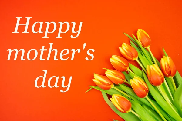 Laleler sarı-kırmızıdır, kırmızı zemin üzerindedir ve "Mutlu Anneler Günü" diye yazılır. — Stok fotoğraf