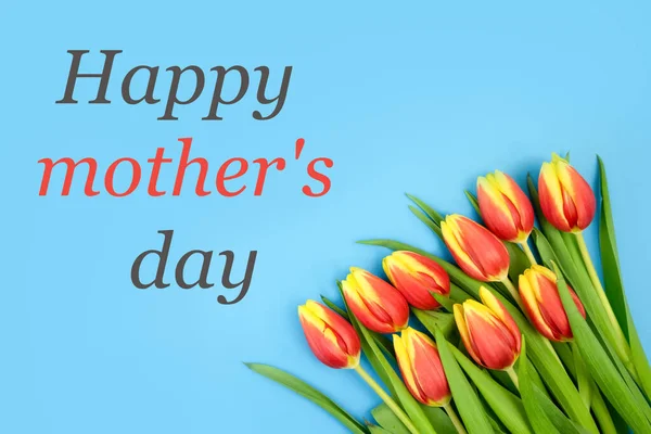 Tulipes rouge-jaune, sur un fond bleu et le texte HAPPY MOTHERS DAY gris-rouge. — Photo