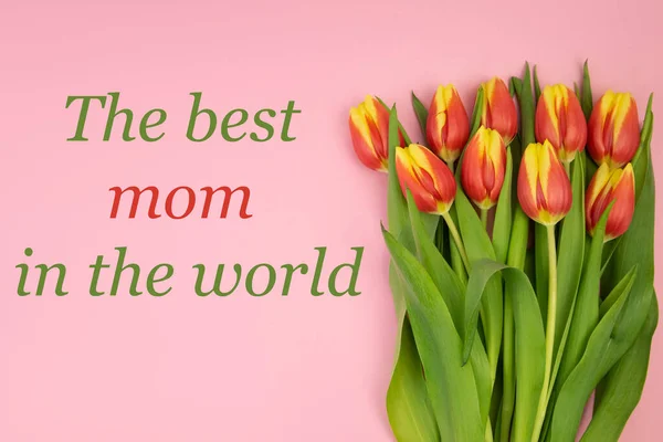 핑크 색 배경에 빨간 노란색 튤립 과 세계에서 가장 훌륭 한 엄마라는 구절 이 있습니다.. — 스톡 사진