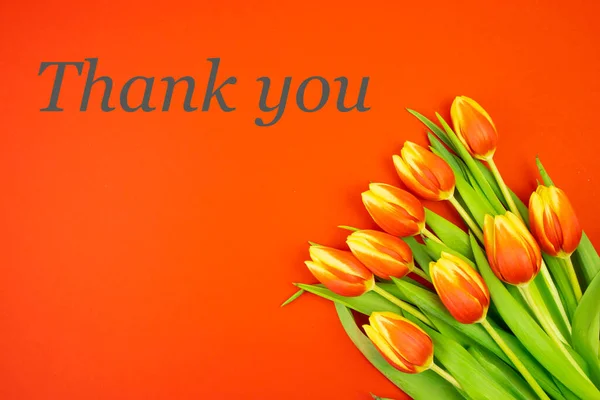 Red Yellow Tulips Red Background Text Thank You Yellow Letters — Stock Photo, Image
