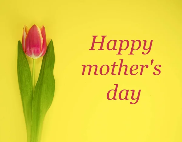 Sarı arkaplanda kırmızı-sarı lale ve Mutlu Anneler Günü mesajı.. — Stok fotoğraf
