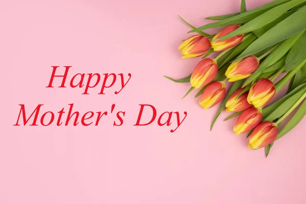 Laleler sarı-kırmızıdır, pembe arkaplanda ve "Mutlu Anneler Günü, kırmızı ile".. — Stok fotoğraf