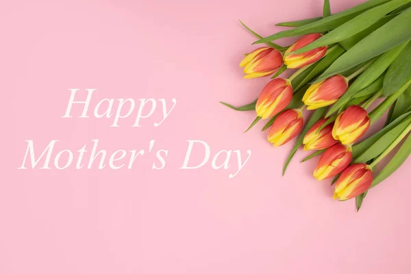 Laleler sarı-kırmızı, pembe arka planda ve mesajda Mutlu Anneler Günü, beyaz — Stok fotoğraf
