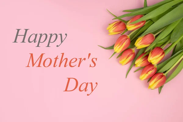 Laleler sarı-kırmızıdır, pembe bir zemin üzerinde ve "Mutlu Anneler Günü" yazısı.. — Stok fotoğraf