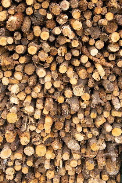 Yakacak odun kesilir ve odun yığılır. Ocakta kış ısıtması için hazırlık. Isı, ısıtma, sürtünme, biyoloji, enerji, pahalı gaz, diğer hammaddelere geçiş.