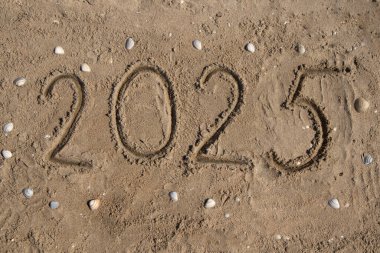 2025 rakamları el yazısıyla kumsalda, deniz kıyısında, kabuğun etrafında yazılır. Tatil, tatil, yeni yıl, turizm, reklam, seyahat konsepti. Yüksek kaliteli fotoğraf.
