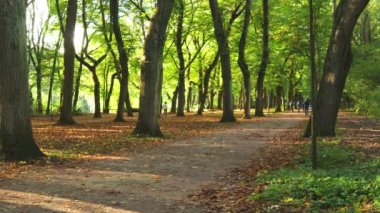 Yaşlı çift el ele tutuşup parkta yürür. Sağlık, hareket, aktif yaşam, mutlu yaşlılık, yaşlılar, emekliler, doğa, bakım, aşk, spor, yaşam tarzı. kalite 4k görüntü