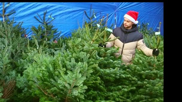 Χριστουγεννιάτικη Αγορά Ένας Νεαρός Καπέλο Βασίλη Αγοράζει Ένα Χριστουγεννιάτικο Δέντρο — Αρχείο Βίντεο