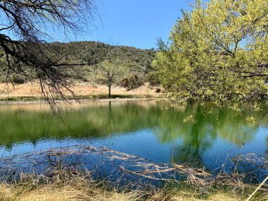Kaliforniya dağları, ağaçlı çöl göleti