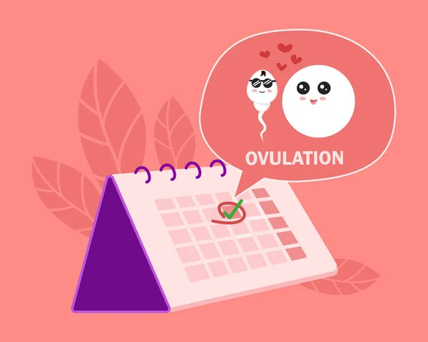 Ovulation Concept Hand Mark Ovulation Date Calendar Sperm Egg Cartoon — Vetor de Stock