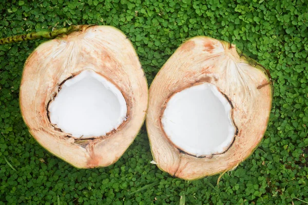 Coconut Half Green Background — Stock Fotó