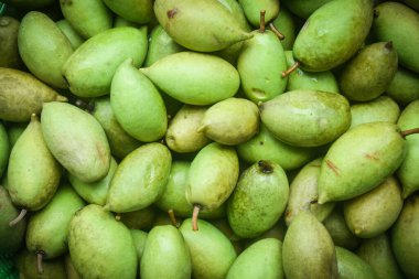 freshness organic olive fruit Thailand background