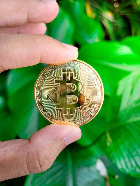Χέρι Του Ανθρώπου Κρατώντας Ένα Χρυσό Κέρμα Bitcoin Συμβολική Πράσινο — Φωτογραφία Αρχείου