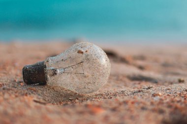 Plajda cam ampul kirliliği. Çevre Kirliliği. Küresel Isınma. Dünyayı Kaydet.