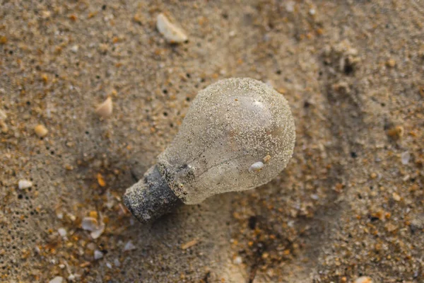 Glass light bulb pollution on the beach. Environmental Pollution. Global Warming. Save Earth.