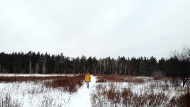 Vista Superior Homem Com Uma Jaqueta Amarela Andando Campo — Vídeo de Stock