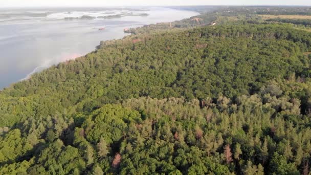 摄像机飞过森林 森林附近有一条大河 — 图库视频影像
