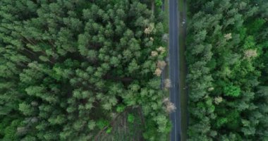 Ormandaki yolun üst manzarası