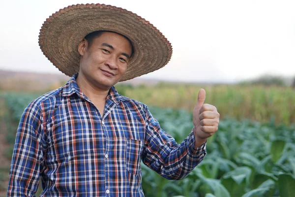 Granjero Asiático Usa Sombrero Camisa Cuadros Pulgar Hacia Arriba Jardín — Foto de Stock