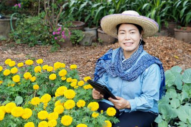 Asyalı kadın bahçıvan marigold çiçek bahçesinde, akıllı tablet al, gülümse. Kavram: Teknolojiyi tarımsal ürünlerin araştırma, kontrol ve yönetimi için kablosuz olarak kullanmak. Akıllı çiftçi.         
