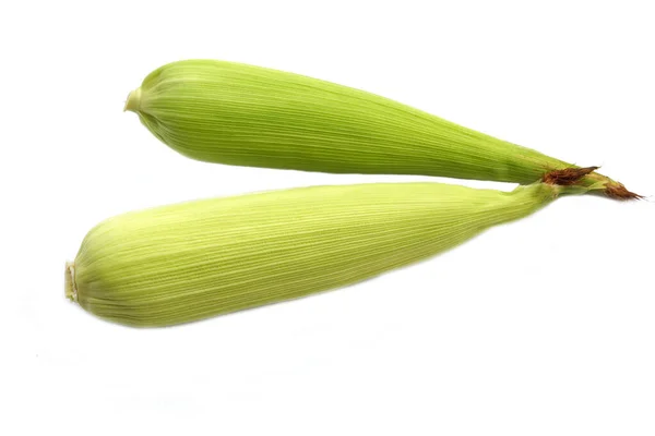 Green Pod Sweet Corn Isolated White Background Whole Unopened Peel — Stock Photo, Image