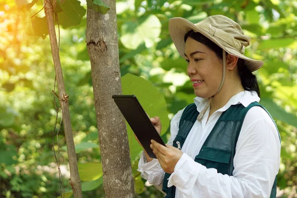 Asiatische Botanikerin Ist Wald Botanische Pflanzen Mithilfe Eines Intelligenten Tablets — Stockfoto