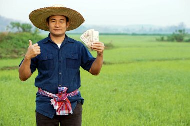 Asyalı çiftçi çeltik tarlasında Tayland paralarını elinde tutuyor. Mutlu çiftçi kar, gelir ve tarım desteği alıyor. Ekinlerle gurur duyuyorum..    