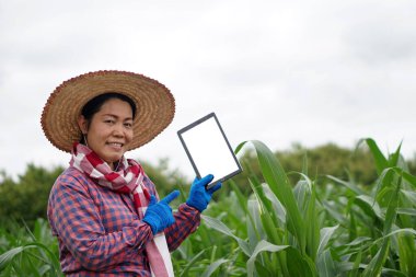 Asyalı kadın çiftçi şapka, peştamal eşarp ve eldiven takıyor. Metin eklemek için boş ekran tableti tutuyor ve gülümsüyor. Fikir: Akıllı çiftçi. Tarım sektöründe kablosuz cihaz teknolojisi kullanılıyor.
