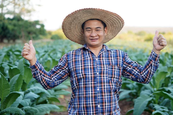 Retrato Agricultor Masculino Asiático Está Jardín Pulgar Hacia Arriba Sonreír — Foto de Stock