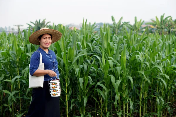 Retrato Agricultora Asiática Está Jardín Maíz Llevar Caja Arroz Tiffin — Foto de Stock