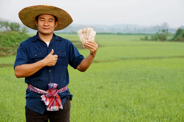 Asyalı çiftçi çeltik tarlasında Tayland paralarını elinde tutuyor. Mutlu çiftçi kar, gelir ve tarım desteği alıyor. Ekinlerle gurur duyuyorum..                     