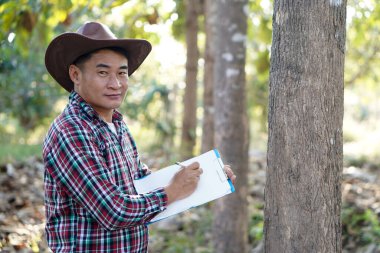 Asyalı erkek botanikçi ağaç bilgilerini kağıt üzerinde inceleyip kayıt ediyor. Kavram: araştırma, botanik bitkilerini araştırmak. Orman ve çevre koruma.             
