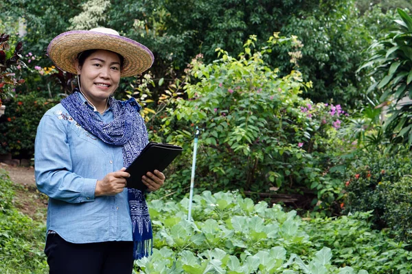 Asiatische Gärtnerin Bio Gemüsegarten Smartphone Der Hand Lächeln Konzept Verwendung — Stockfoto